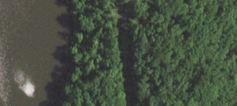 Deer Leap