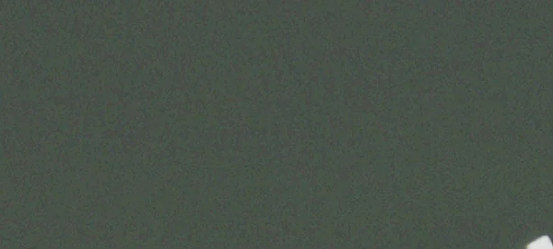 Roach, MO 65787