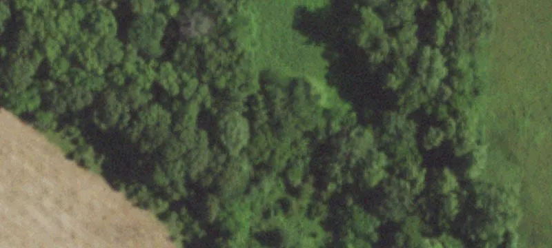 5700 Mirabile Dr