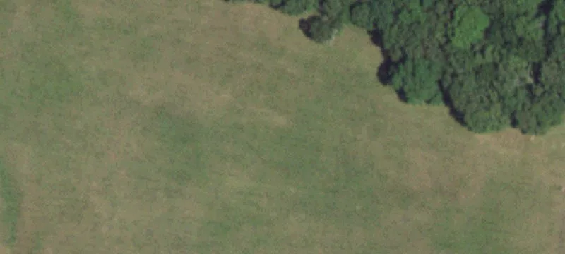 Grovespring, MO 65662