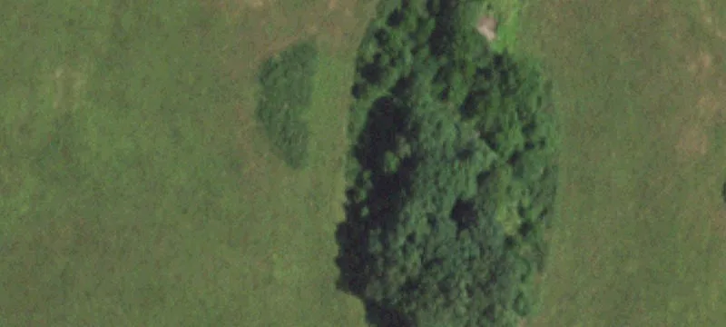 Grovespring, MO 65662