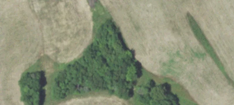 Sedgewickville, MO 63781