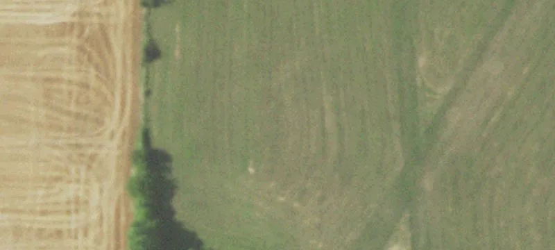 Lockwood, MO 65682