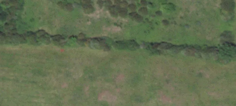 Plantation Mnr