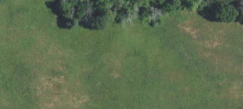 Sassafras Dr