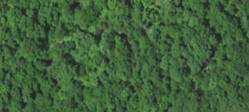 1980 Country Acres Ln