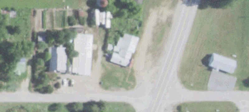 Of Us 67