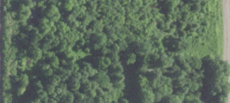 Neelyville, MO 63954