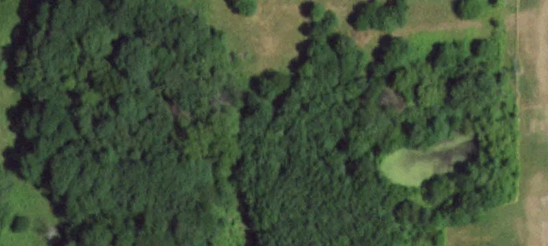 Diamond, MO 64840