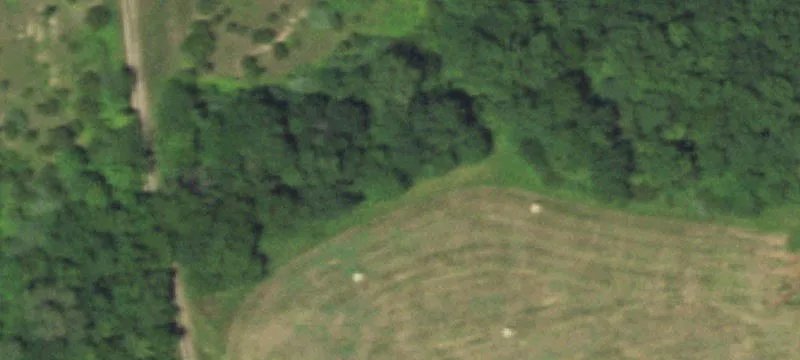 Carrollton, MO 64633