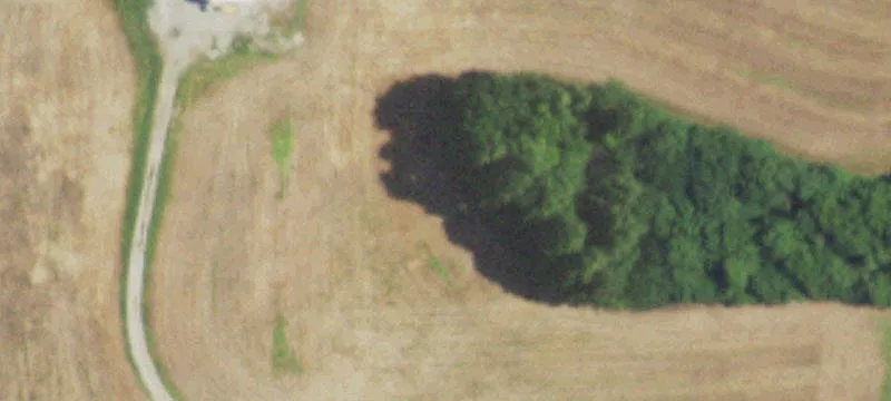 County Rd 302