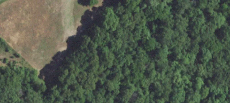 Gainesville, MO 65655