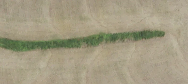 Monticello, MO 63457