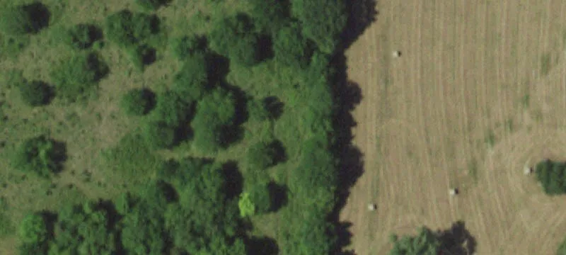 1445 800Th Rd