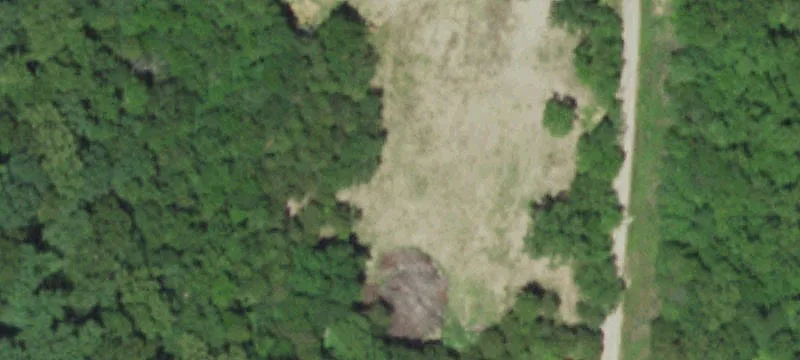 484 Deer Ct