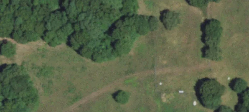 808 Coon Ridge Rd