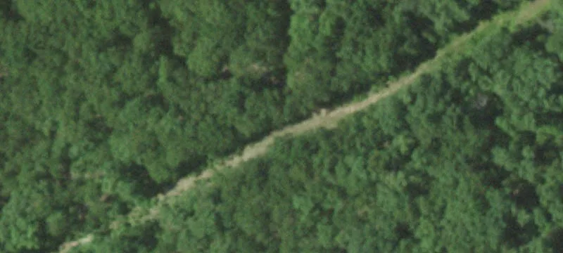 211 Hwy 50