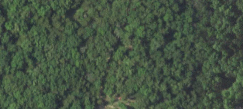 Westphalia, MO 65085
