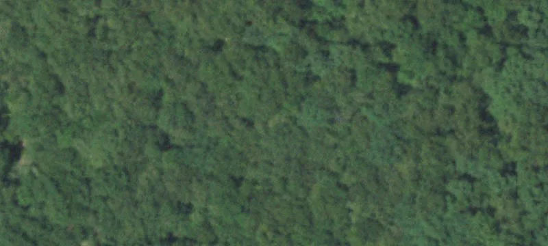 Dadeville, MO 65635