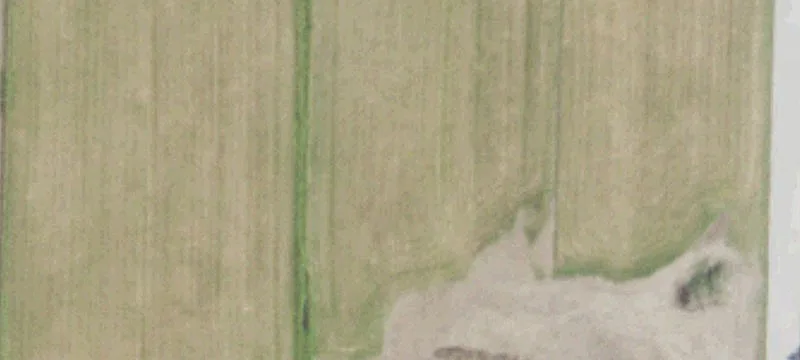 1350  S