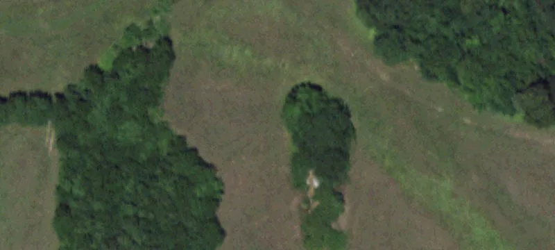 9945 Raccoon Rd