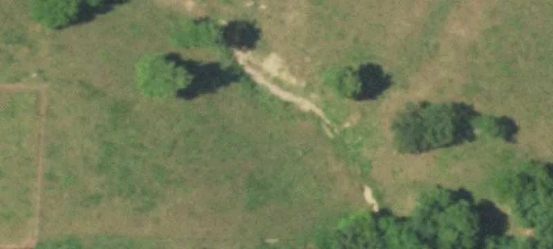 Greenfield, MO 65661