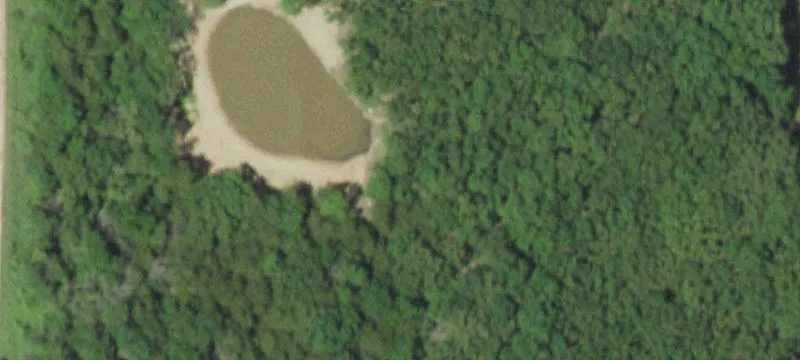 447 Hobby Hut Rd