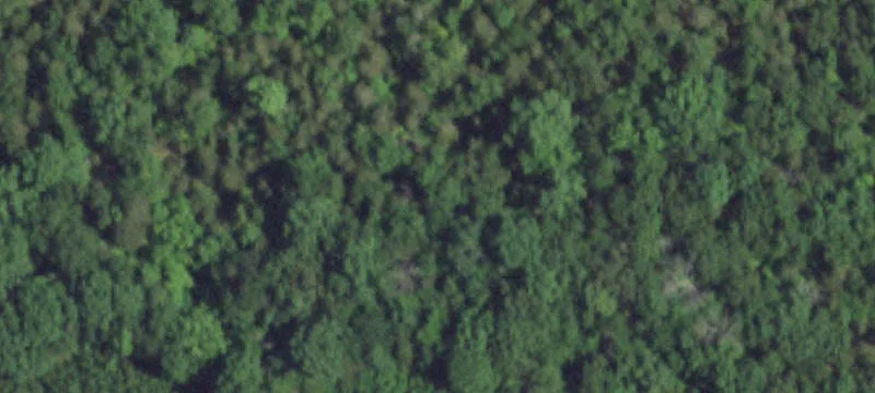 Gainesville, MO 65655