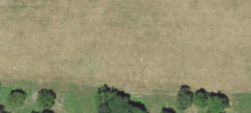 Everton, MO 65646