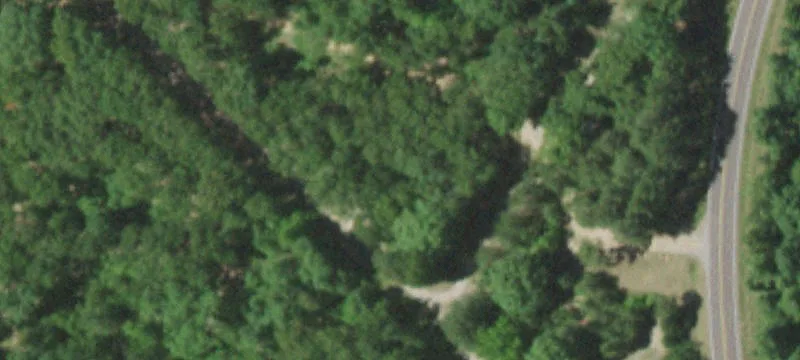 15445 Hwy 19
