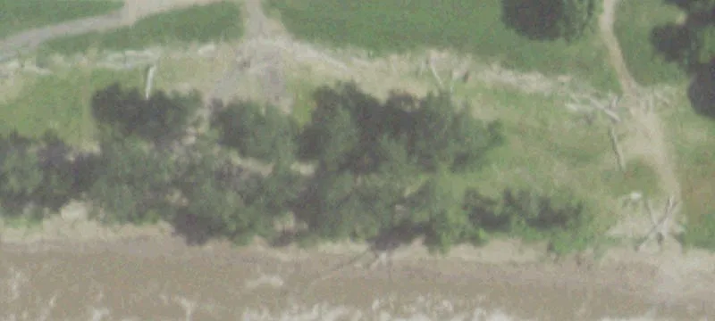 Levee Rd