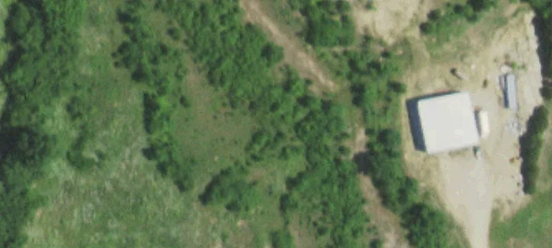 Theodosia, MO 65761