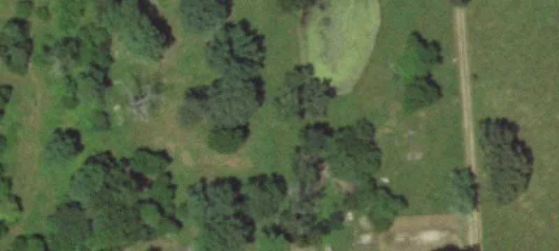 Birch Tree, MO 65438