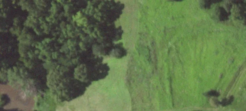 27598 Hwy F F