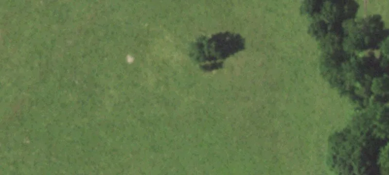 Marble Hill, MO 63764