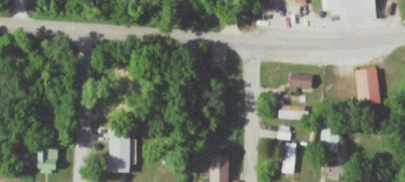 Walnut St