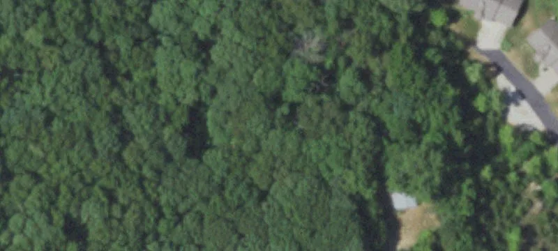 439 State Hwy Oo