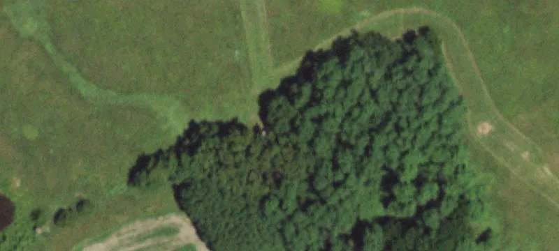 29516 Pike 238