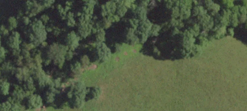 40 Int Mineral Rights