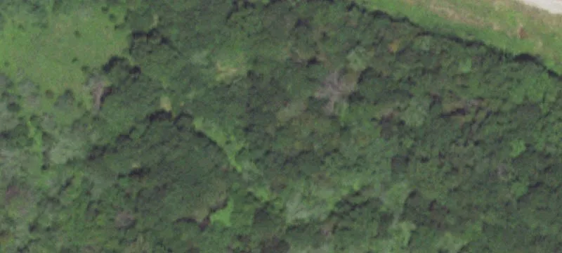 Service Rd