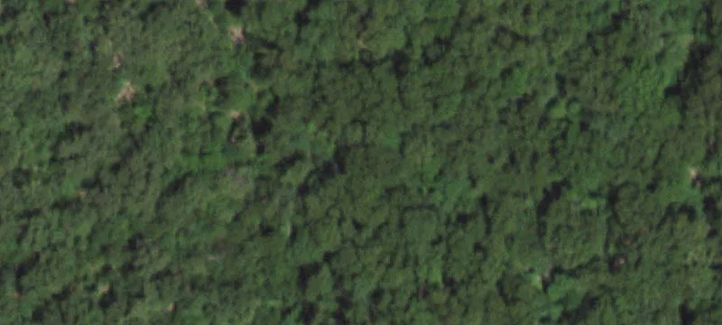 Seneca, MO 64865