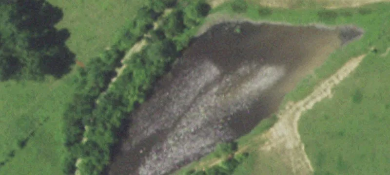 Marble Hill, MO 63764