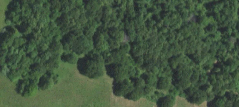 18217 Dove Rd
