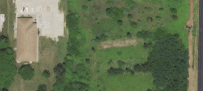 Forrest Dr