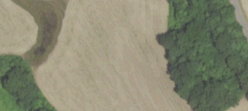 Sikeston, MO 63801