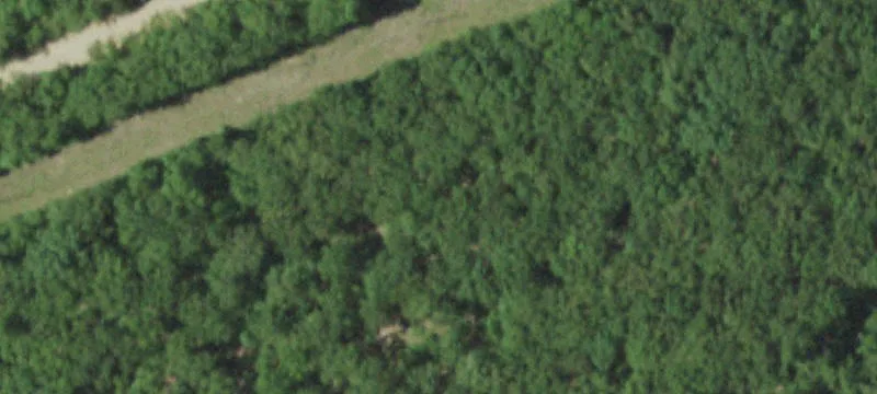 Witzke Rd