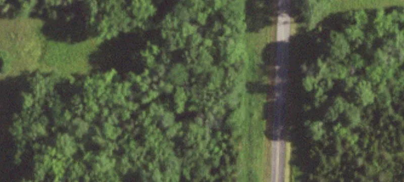 Appaloosa Way At State Rte Dd