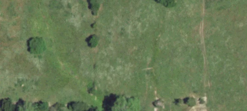 Wasola, MO 65773