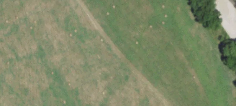 6881 State Hwy 86