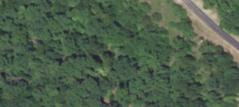 33480 Lakewood Shrs Dr